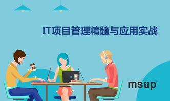 msup 軟件研發(fā)管理培訓(xùn)與咨詢服務(wù) 賦能團(tuán)隊，驅(qū)動卓越