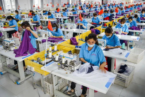 早間教育資訊 2020年9月18日教育咨詢服務(wù)動態(tài)觀察